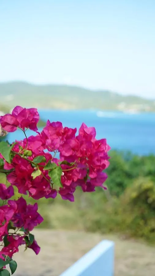 Апартаменты Coqui Beach Home, Culebra Кулебра Пуэрто-Рико