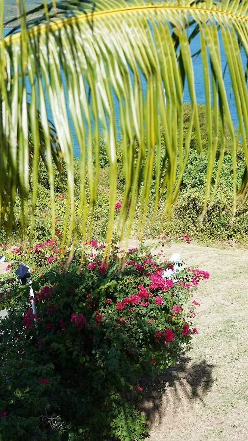 Апартаменты Coqui Beach Home, Culebra Кулебра